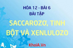 Bài tập về Saccarozơ, Tinh bột và Xenlulozơ - Hóa 12 bài 6